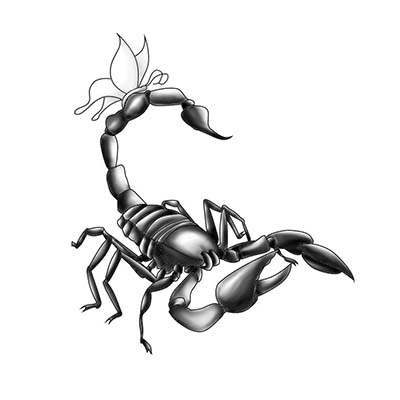 Cool Black Ink Scorpion Designs Fake Temporary Water Transfer Tattoo Stickers NO.10154